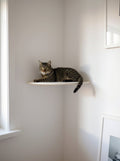 STYA Mur d'escalade pour chat | Coin-repos WL160