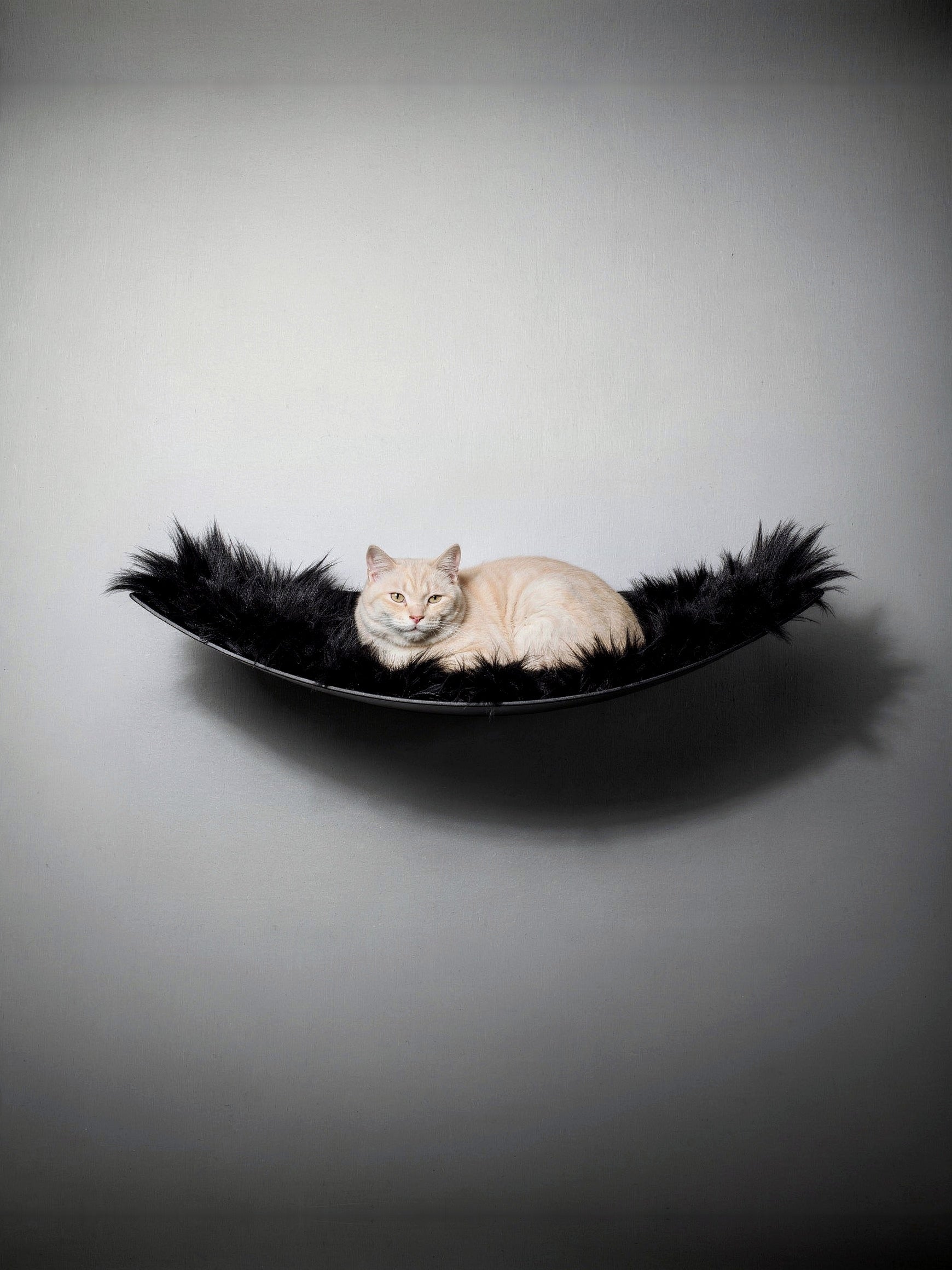 STYA Katzen Kletterwand | XXL Hängematte WL170