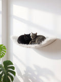 STYA Mur d'escalade pour chat | Hamac XXL WL170