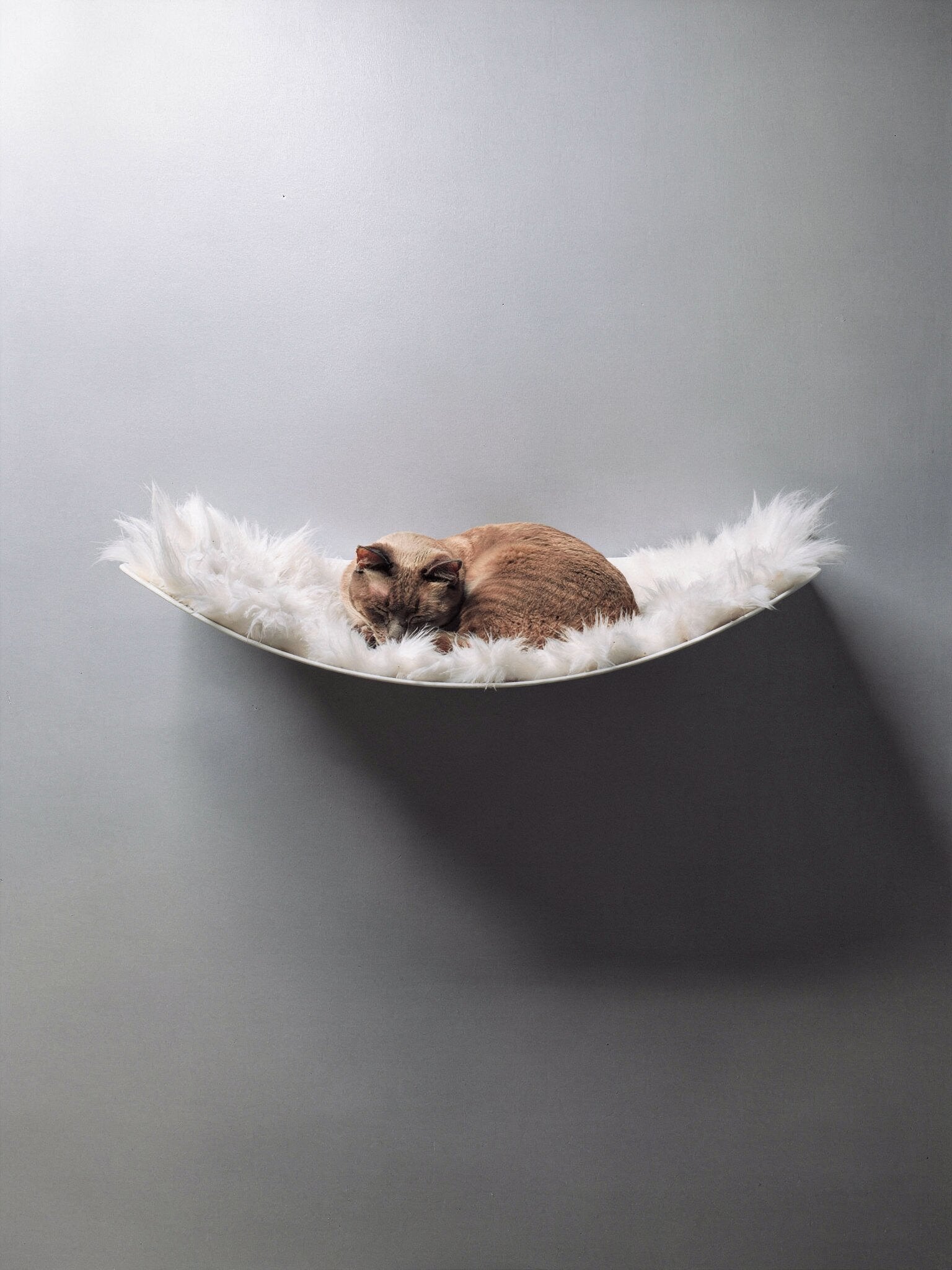 STYA Katzen Kletterwand | XXL Hängematte WL170