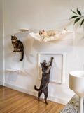 STYA Mur d'escalade pour chat | Set Hamac XL ÉLÉGANCE | Gamme WL300
