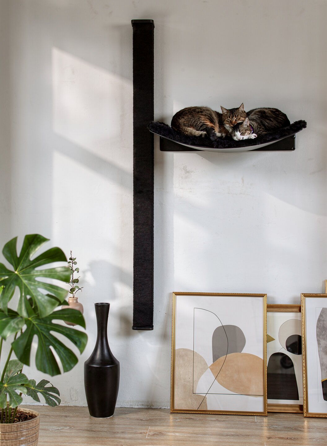STYA Katzen Kletterwand | Set Essence | Kratzstamm KS150 + XXL Hängematte WL370