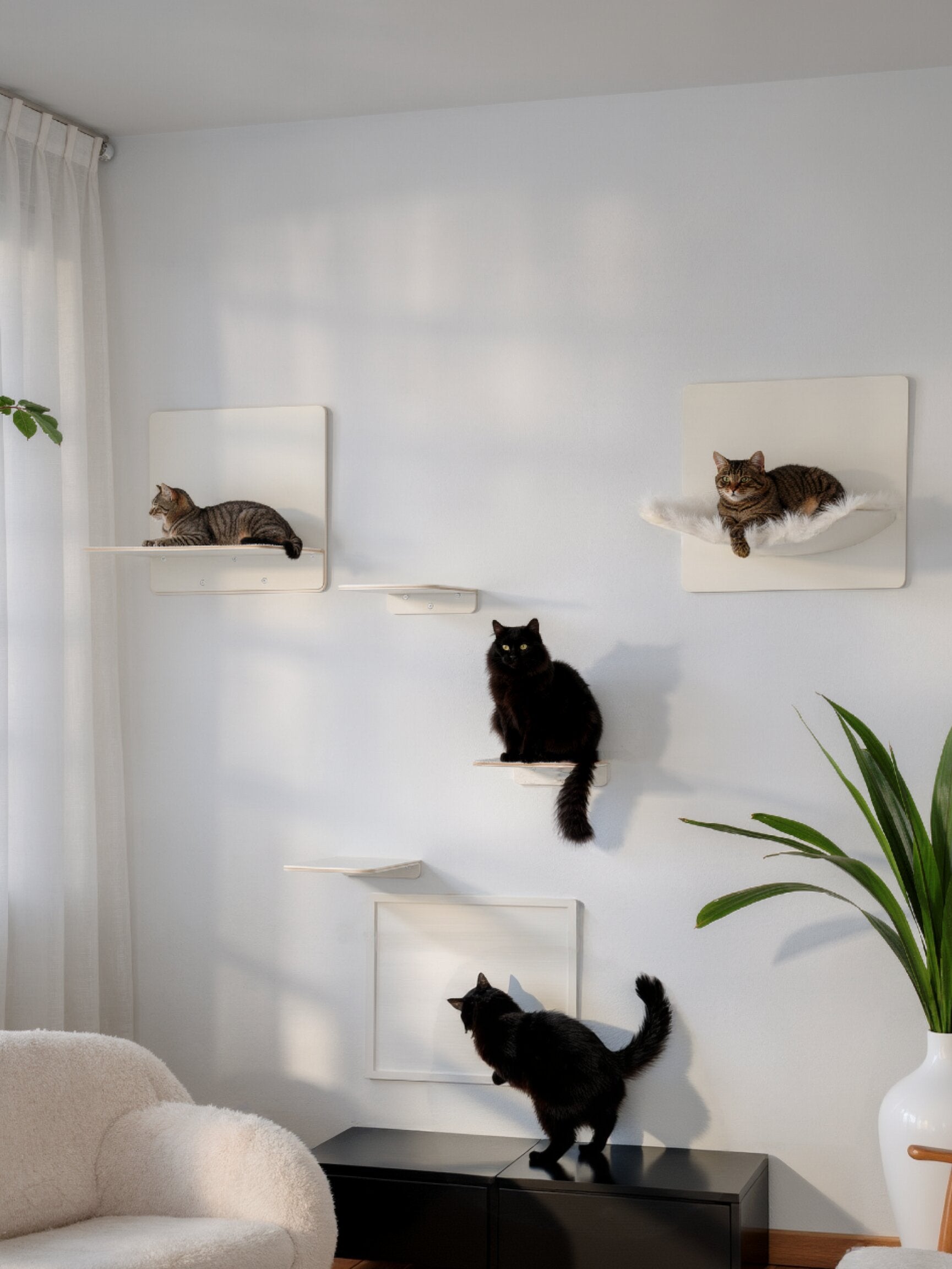 STYA Katzen Kletterwand | Hängematte WL310