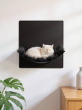 STYA Katzen Kletterwand | Hängematte WL310