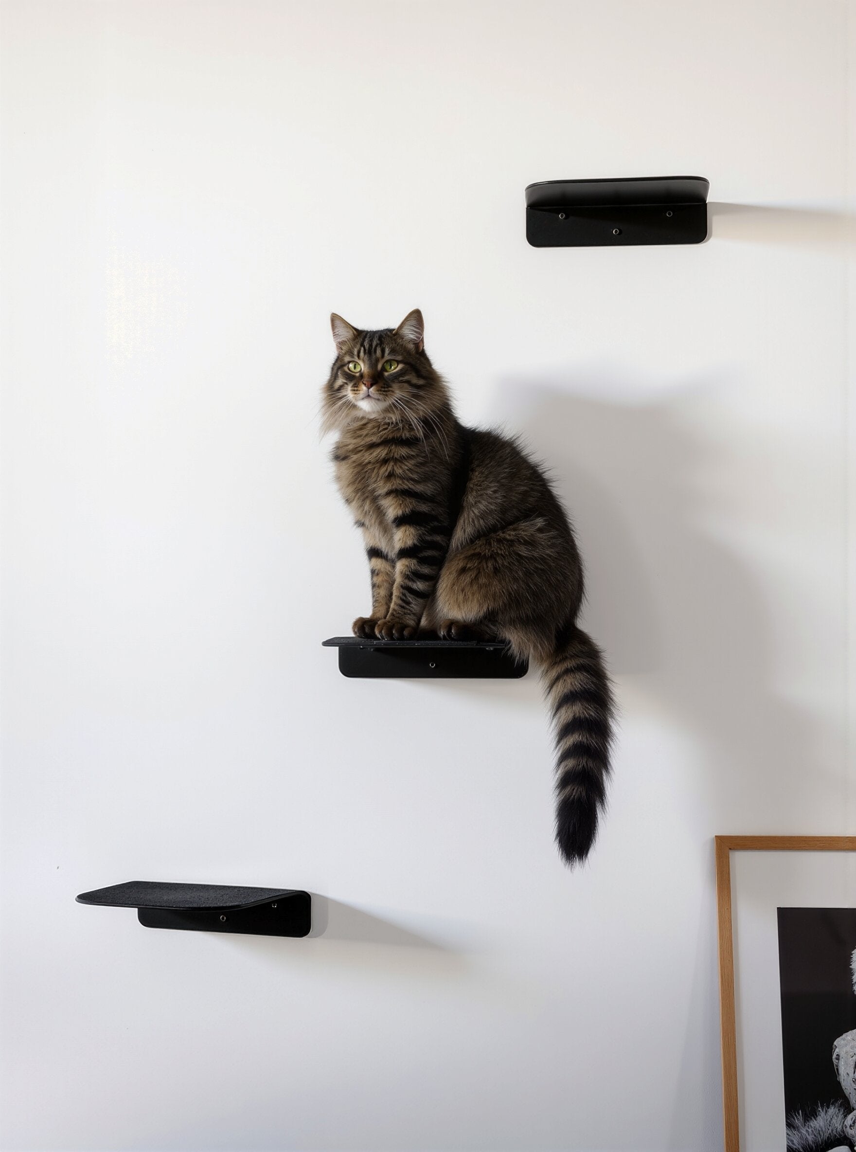 STYA Katzen Kletterwand | Katzen Treppe WL340 | Mit 3 Stufen