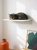 STYA Mur d'escalade pour chat | Hamac mural WL350