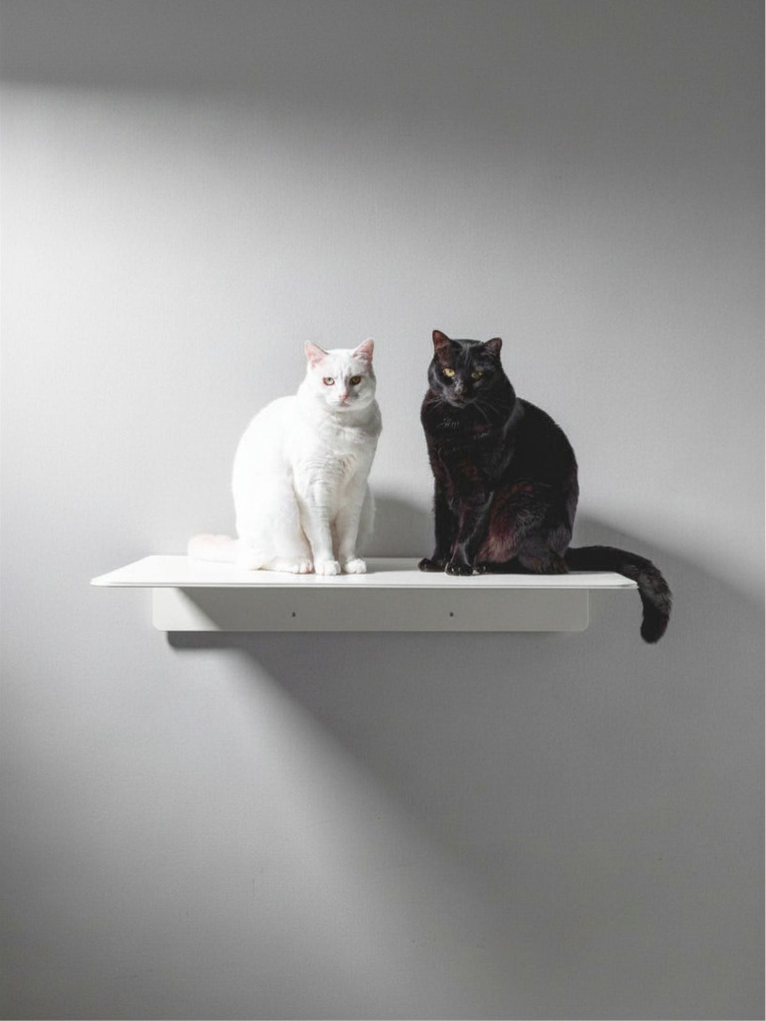 STYA Katzen Kletterwand | XXL Wandliege WL380