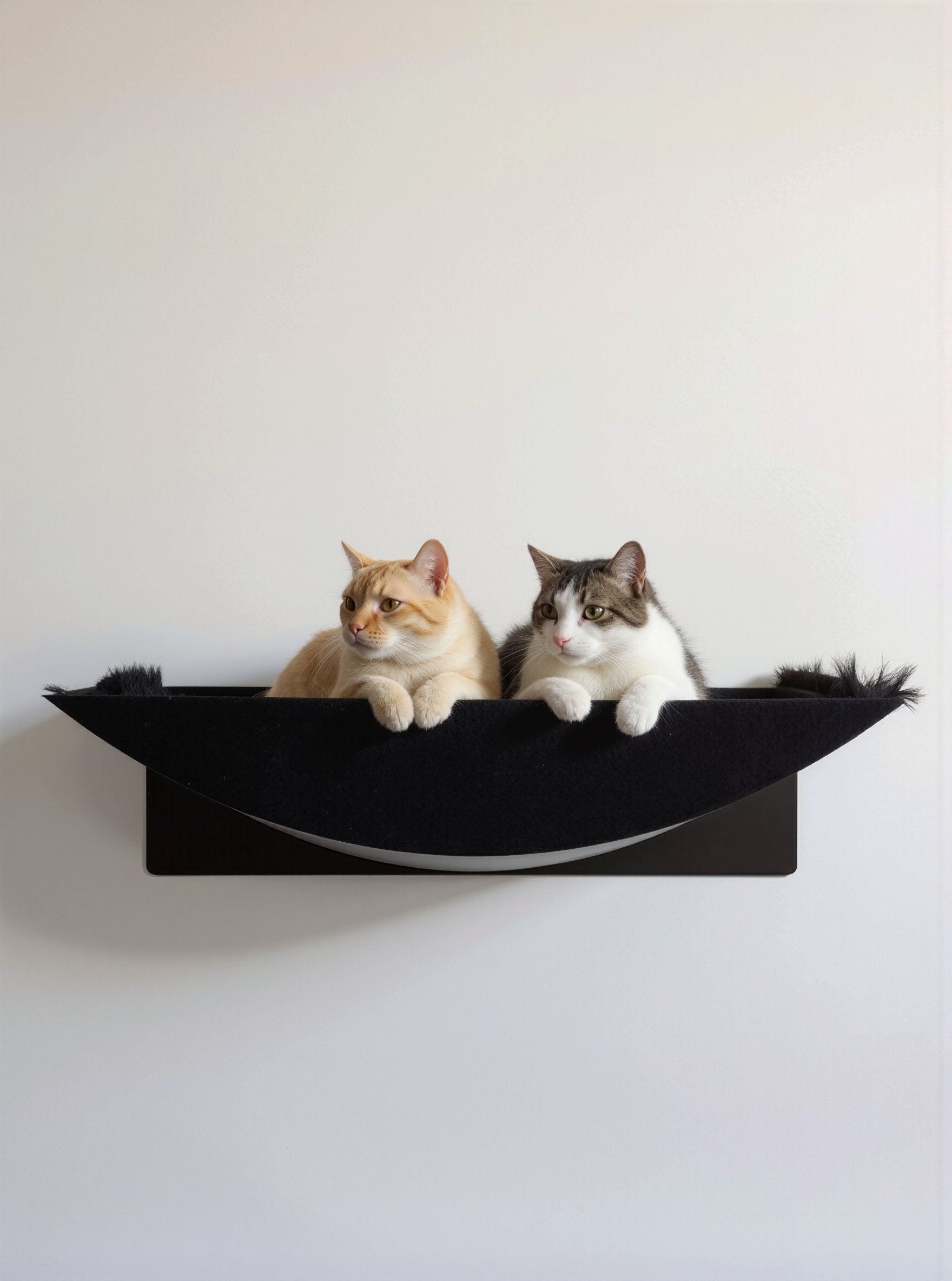 STYA Cat Climbing Wall | XXL Hammock & Nest WL390