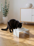 STYA Gamelle pour chat FE210 | Blanc