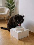 STYA Katzen Futternapf FE110 | Weiß