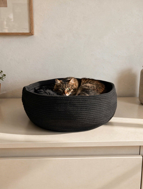 STYA Katzen Bettchen LB100 | Schwarz