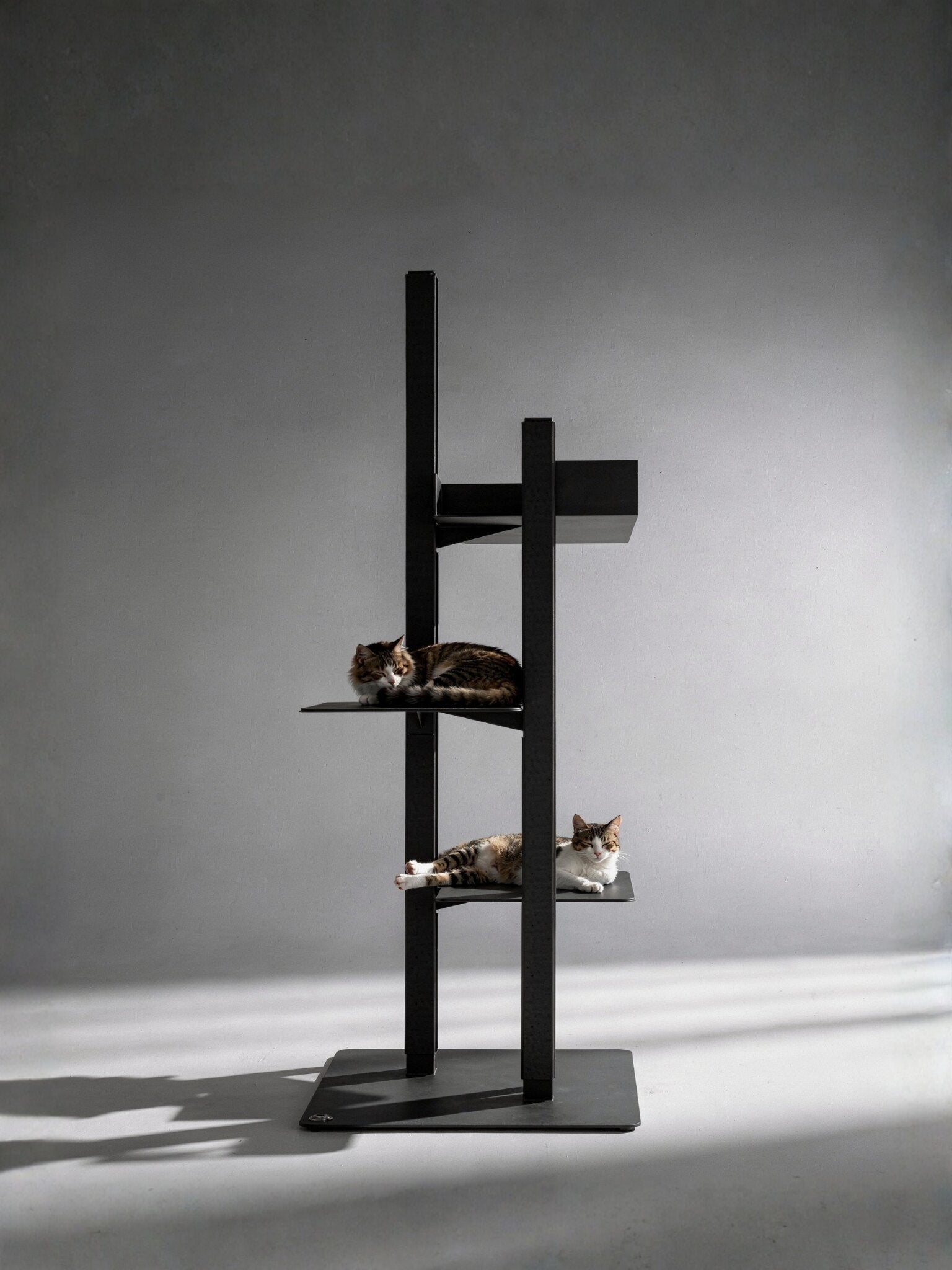 STYA Katzen Kratzbaum MS610 | Schwarz