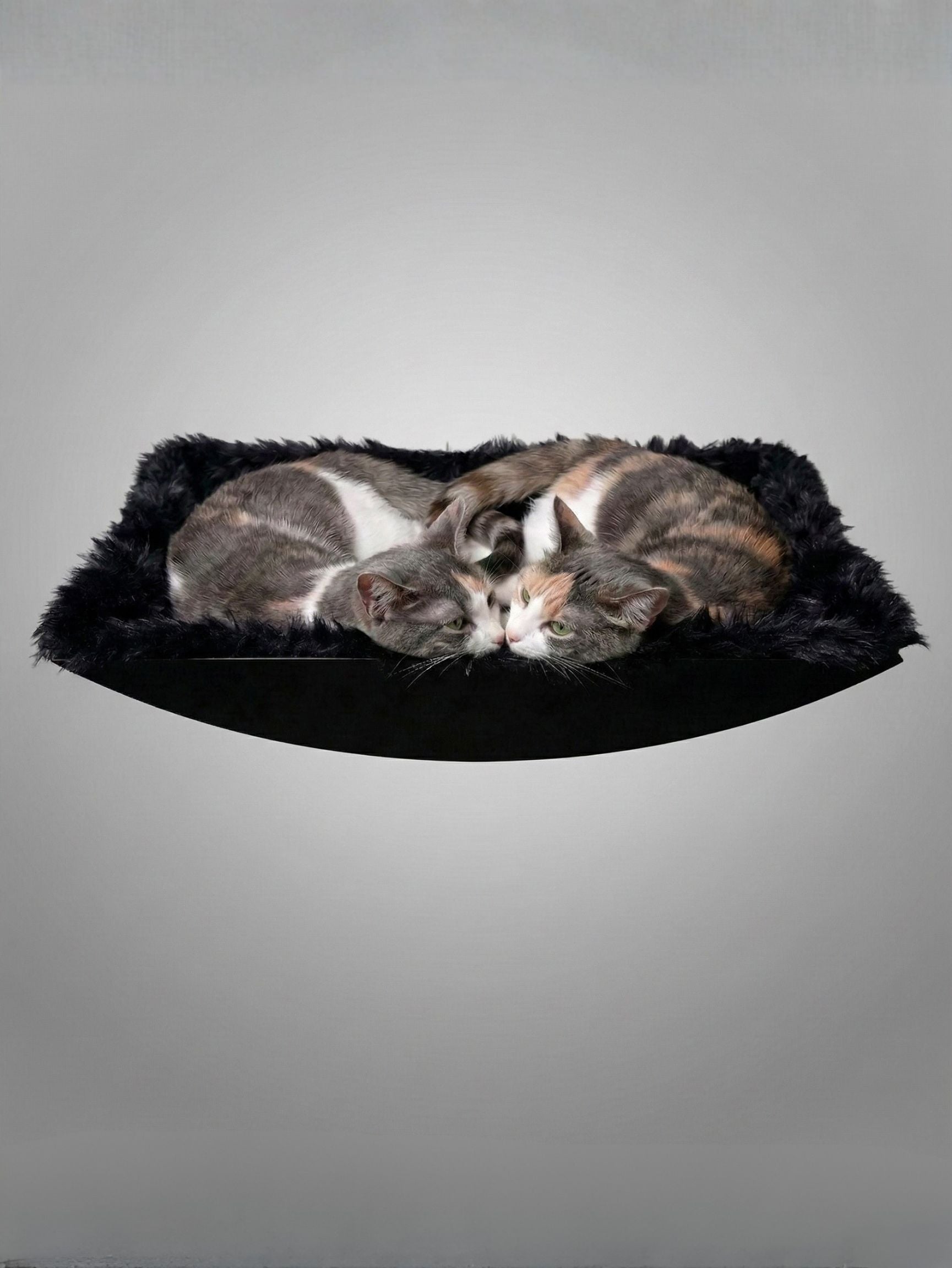 STYA Katzen Kletterwand | XXL Hängematte & Nest WL190