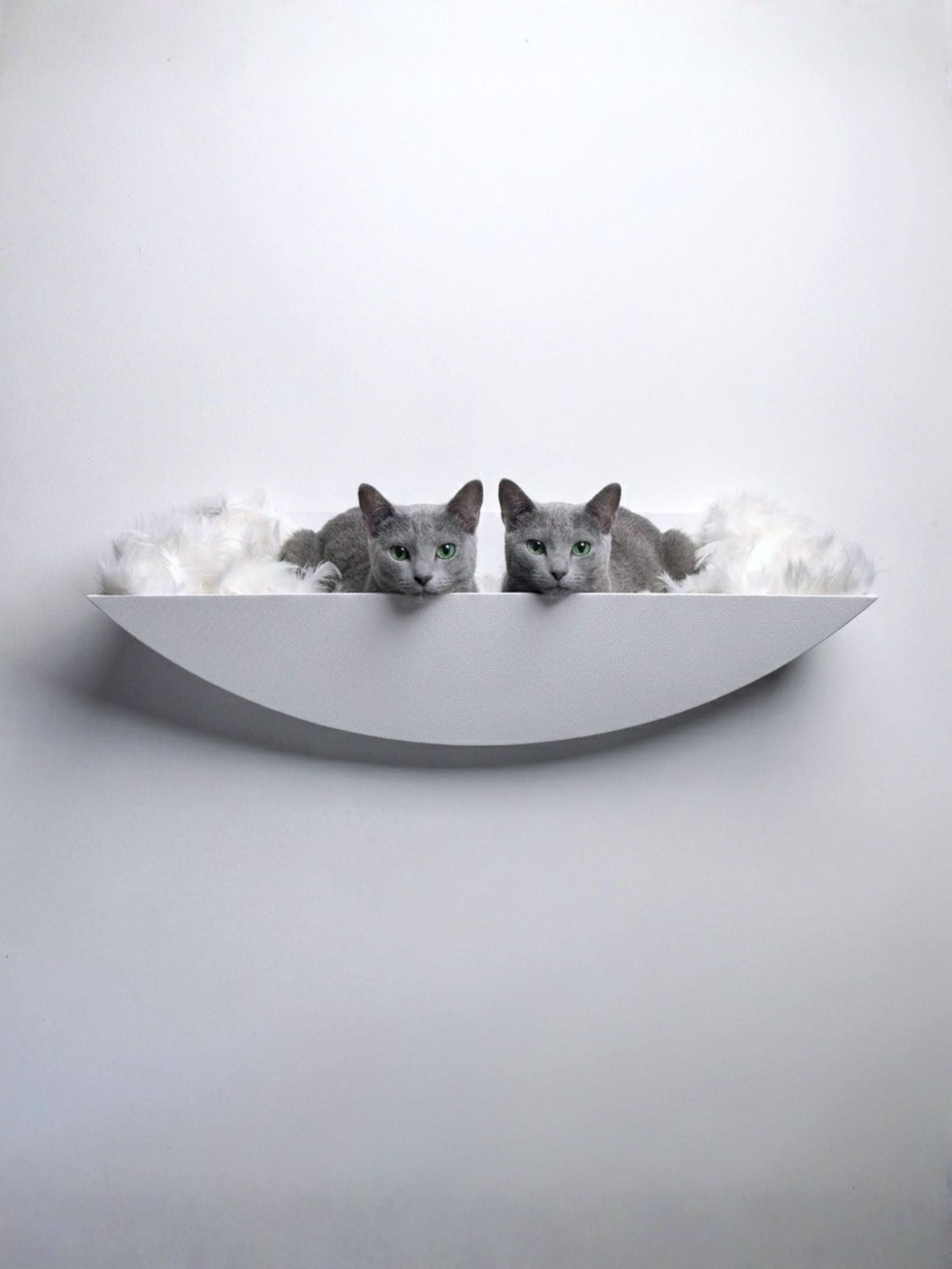 STYA Katzen Kletterwand | XXL Hängematte & Nest WL190