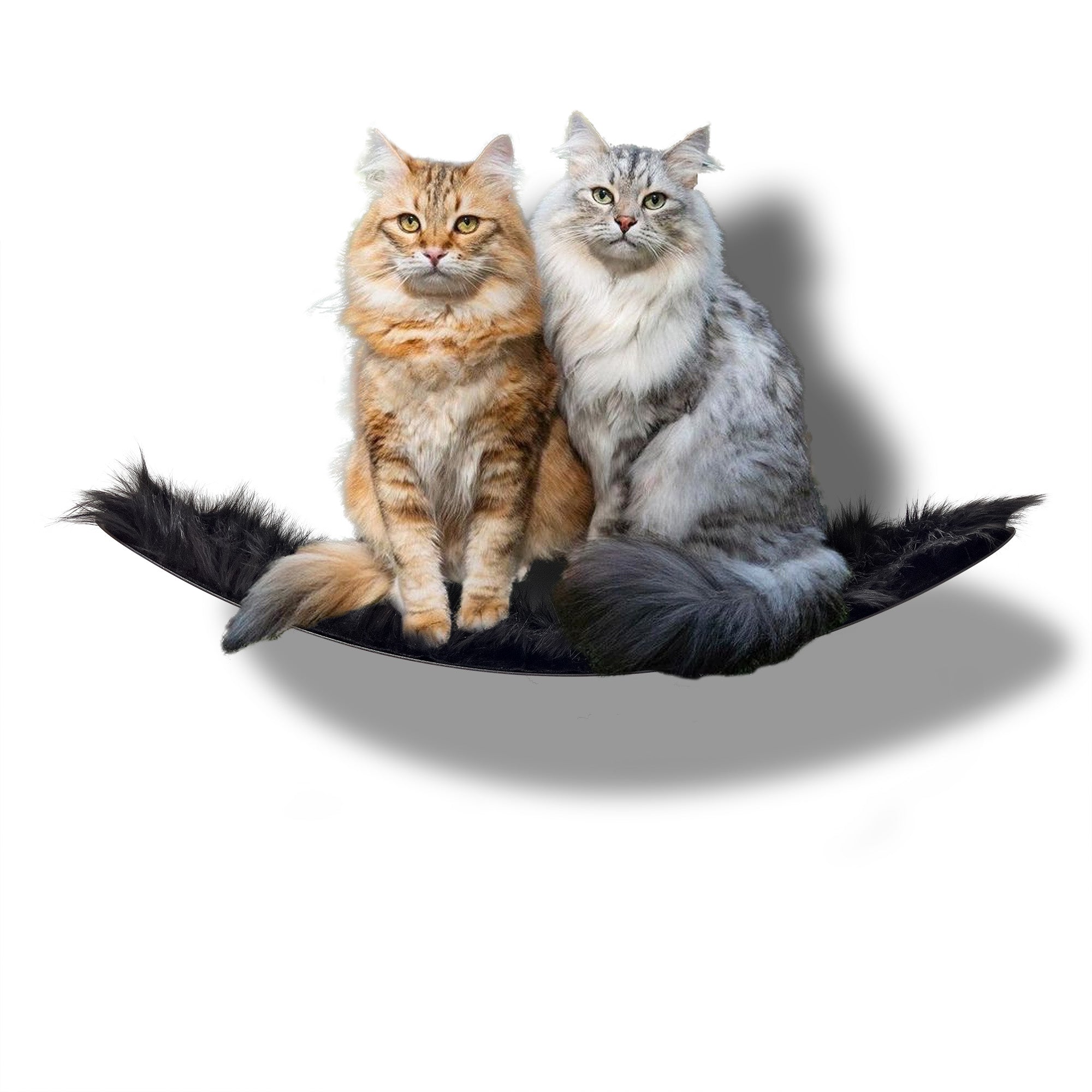 STYA Katzen Kletterwand | XXL Hängematte WL170