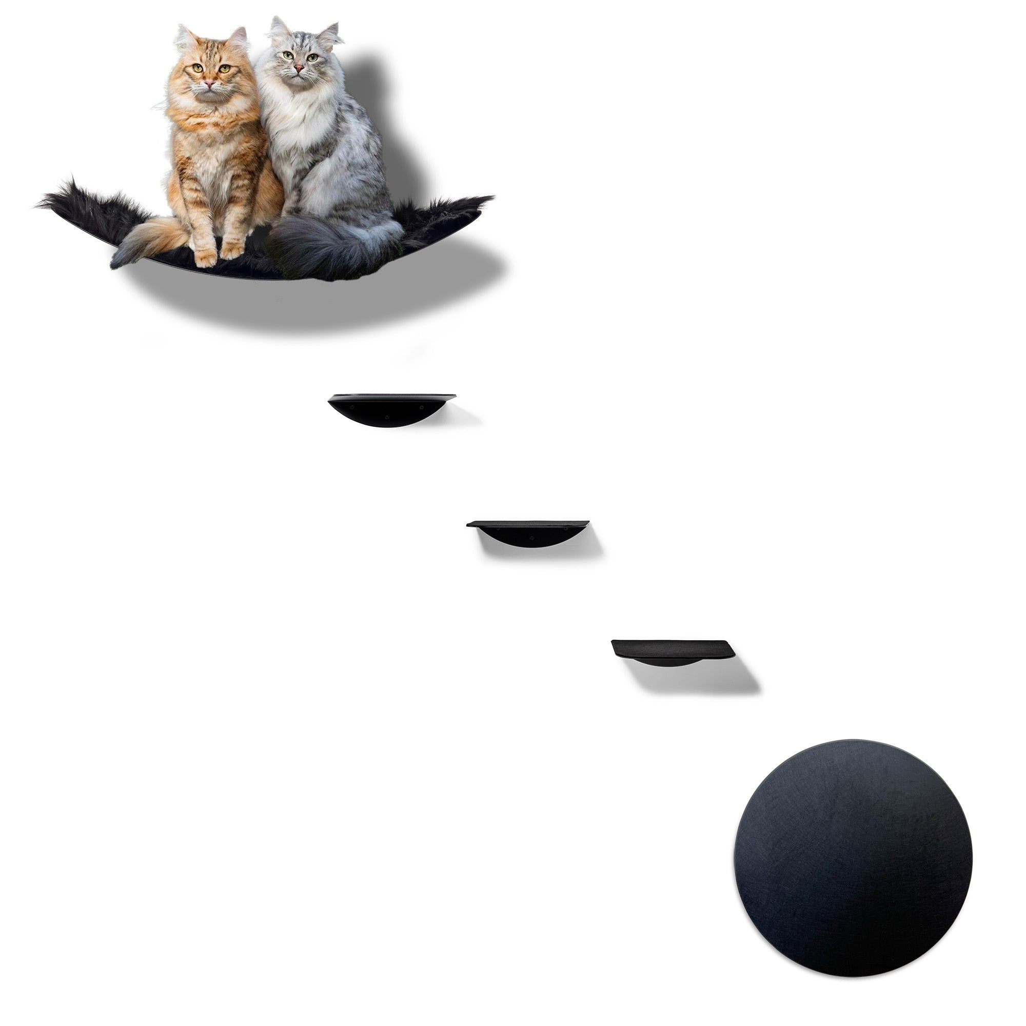 STYA Mur d'escalade pour chats | Ensemble élégance Hamac XXL | Ligne WL100