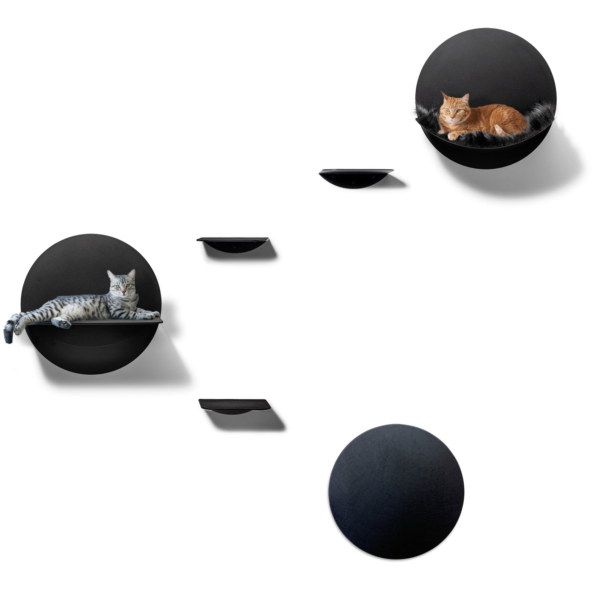 STYA Katzen Kletterwand | Set Galerie | Linie WL100