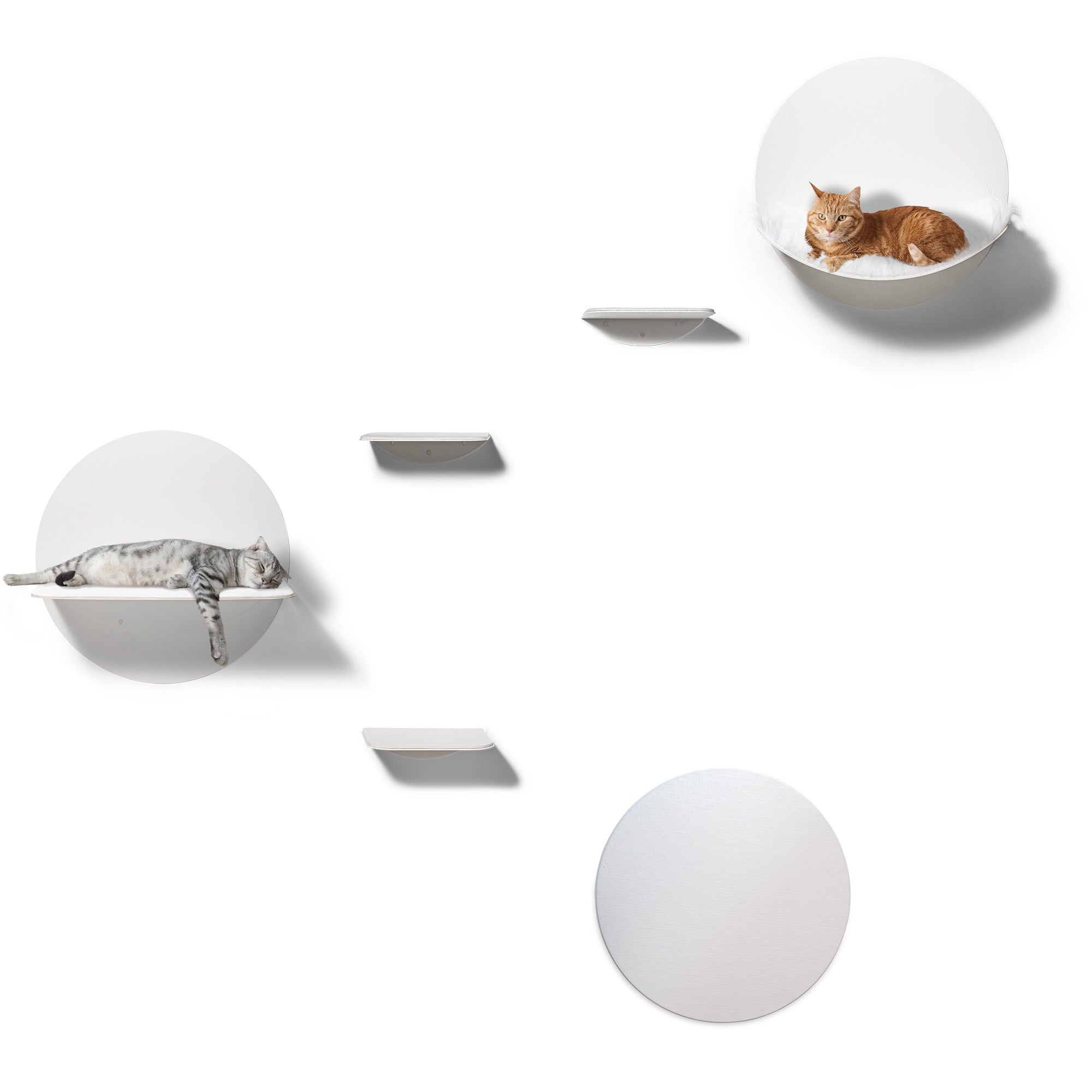 STYA Katzen Kletterwand | Set Galerie | Linie WL100