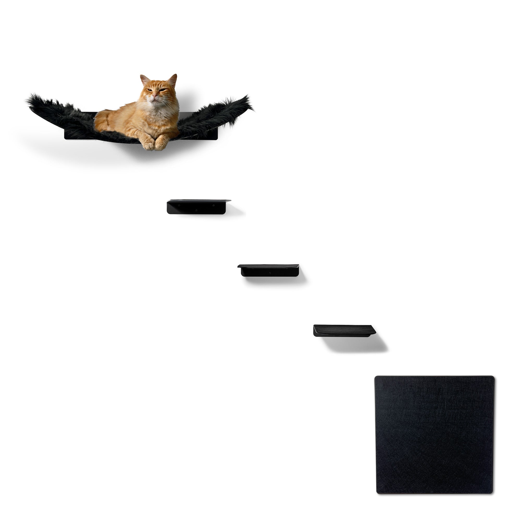 katzen hängematte xxl Design Katzen XXL Kletterwand Set aus Metall + Filz, Moderne Kletterwand für Katzen