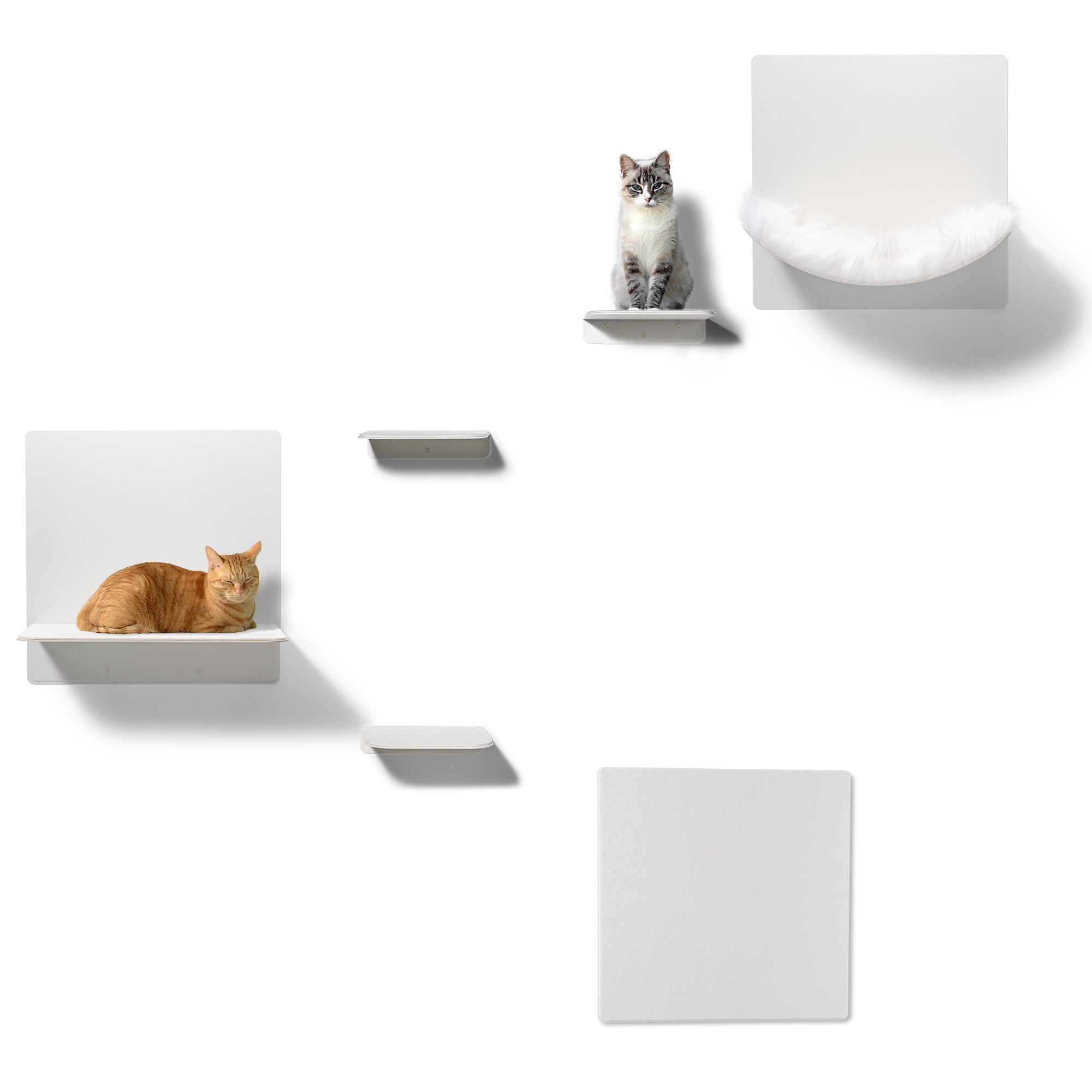 STYA Katzen Kletterwand | Set Galerie | Linie WL300