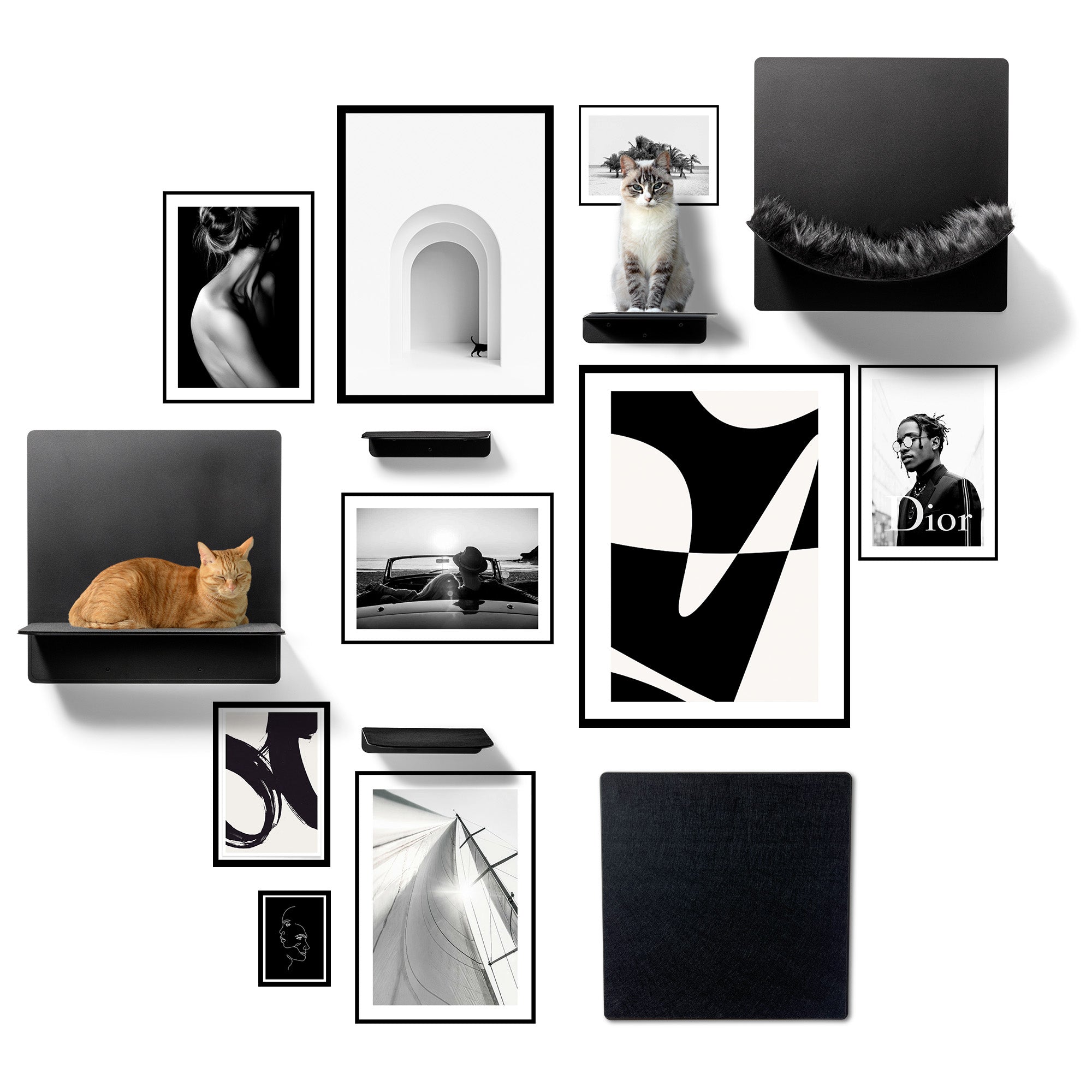 STYA Katzen Kletterwand | Set Galerie | Linie WL300