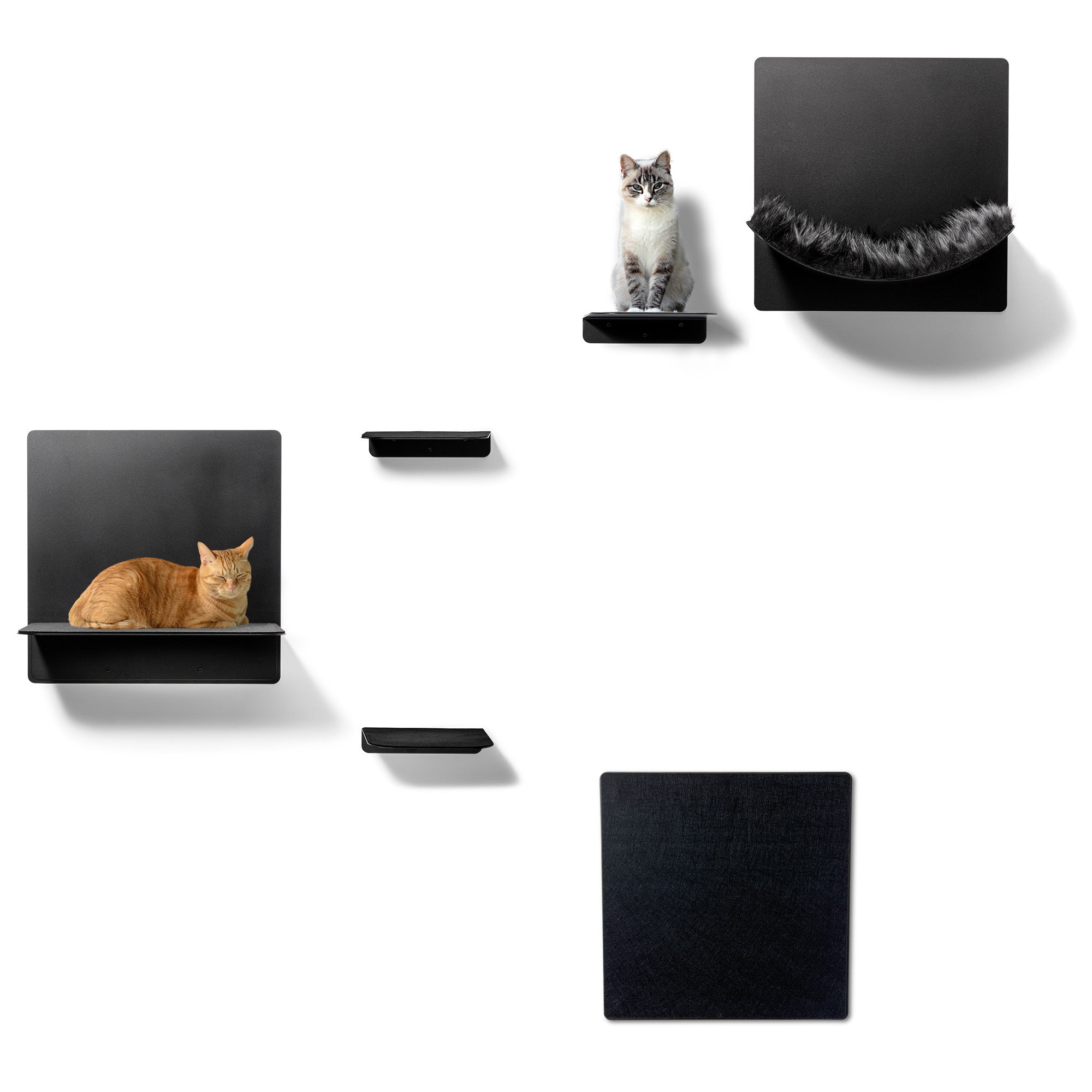 STYA Katzen Kletterwand | Set Galerie | Linie WL300