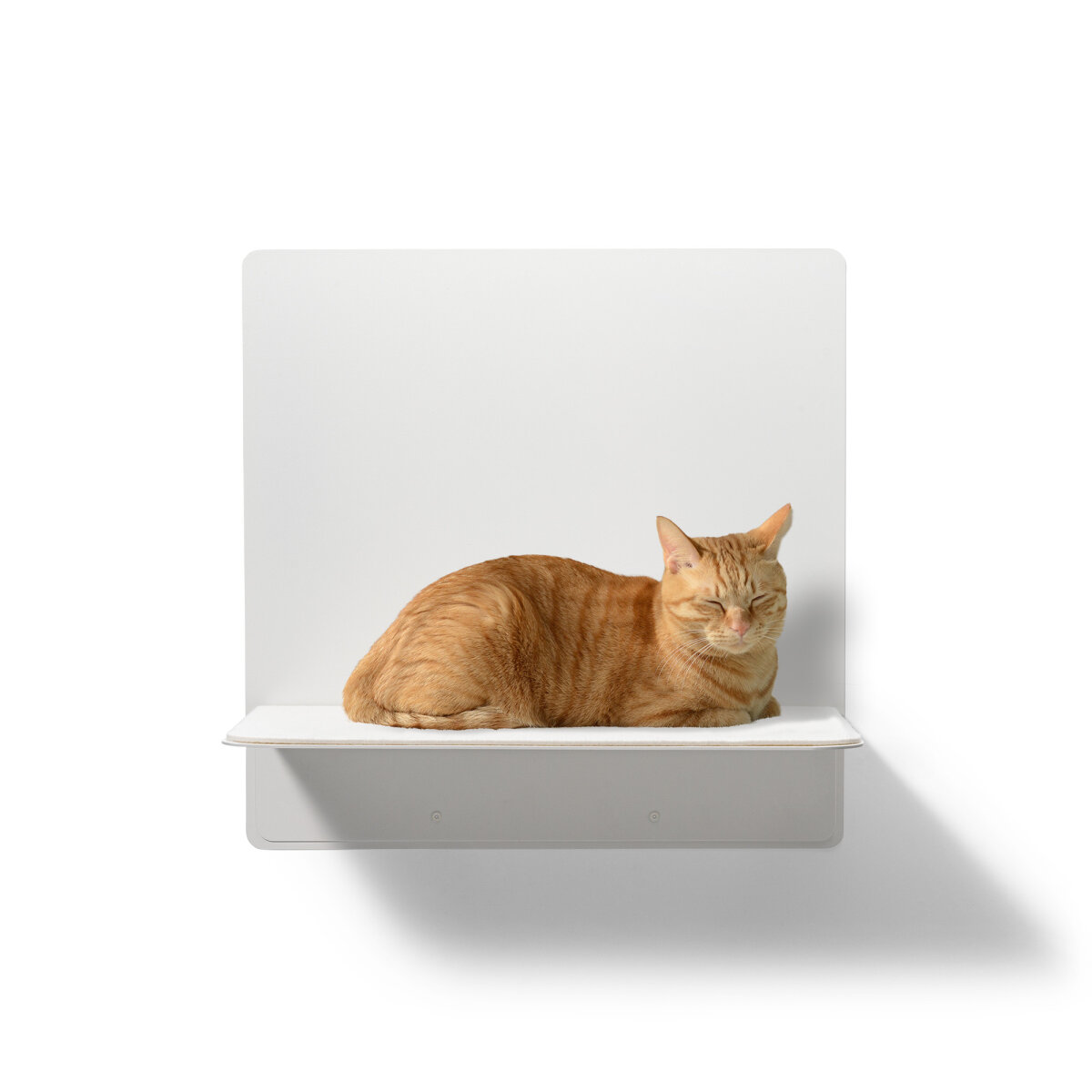 STYA Katzen Wandliege WL 320 | Design Wandmöbel Katzenkletterwand aus Metall - Katzengerecht, modern und minimalistisch, Premium Qualität