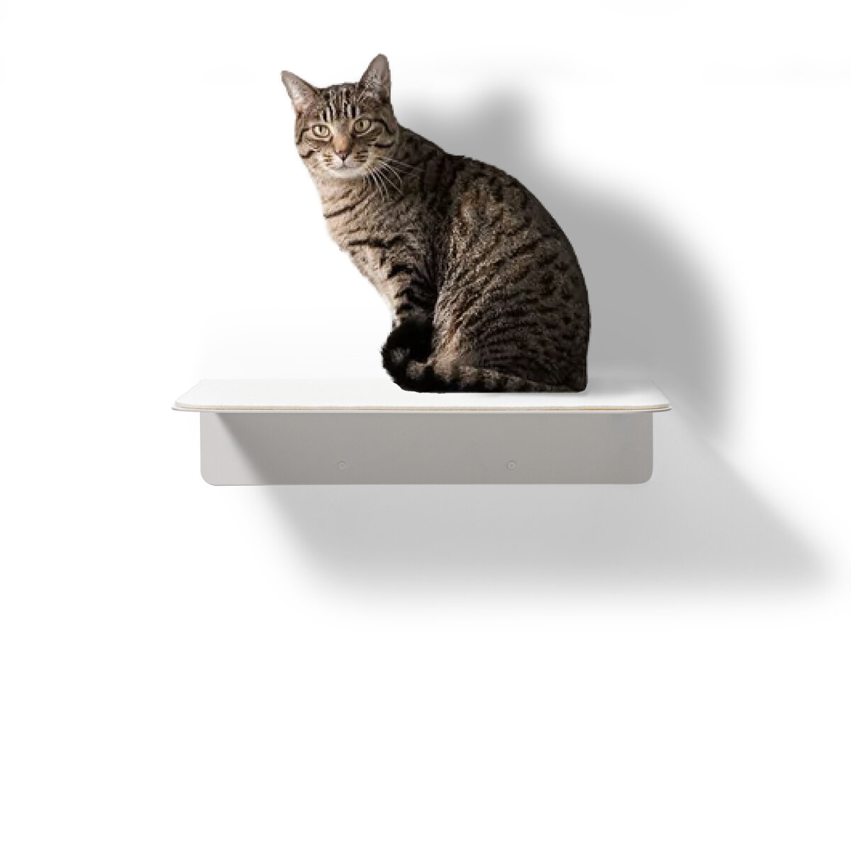 STYA Katzen Wandliege WL 350 | Design Wandmöbel Katzenkletterwand aus Metall - Katzengerecht, modern und minimalistisch, Premium Qualität