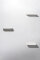 STYA Katzen Kletterwand WL 300 | Set Minimalist Wandliege XXL | Design Wandmöbel aus Metall + Sisal - Katzengerecht, modern und minimalistisch, Premium Qualität